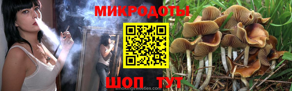 Новодвинск  Псилоцибиновые грибы MAGIC MUSHROOMS  Вход с VPN 