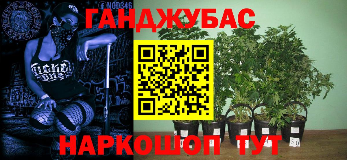 Бошки марихуана планчик  Вход с VPN  Новодвинск  Бошки марихуана сатива  Бошки Шишки планчик 